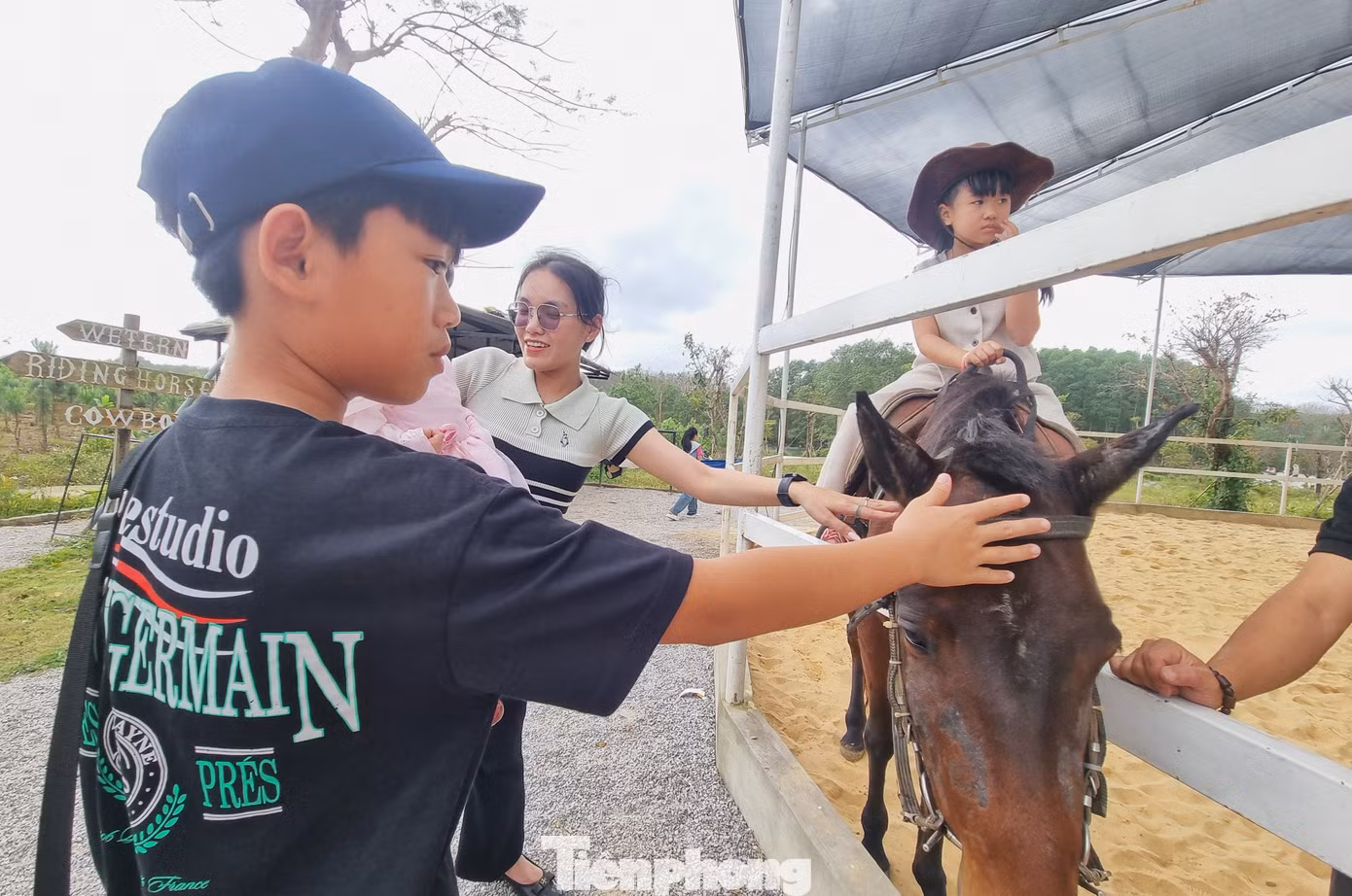 tp-ngua-3.jpg