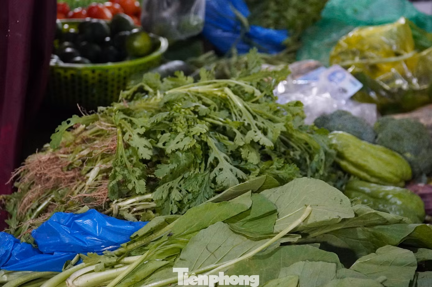 tp-thuc-pham-17.jpg