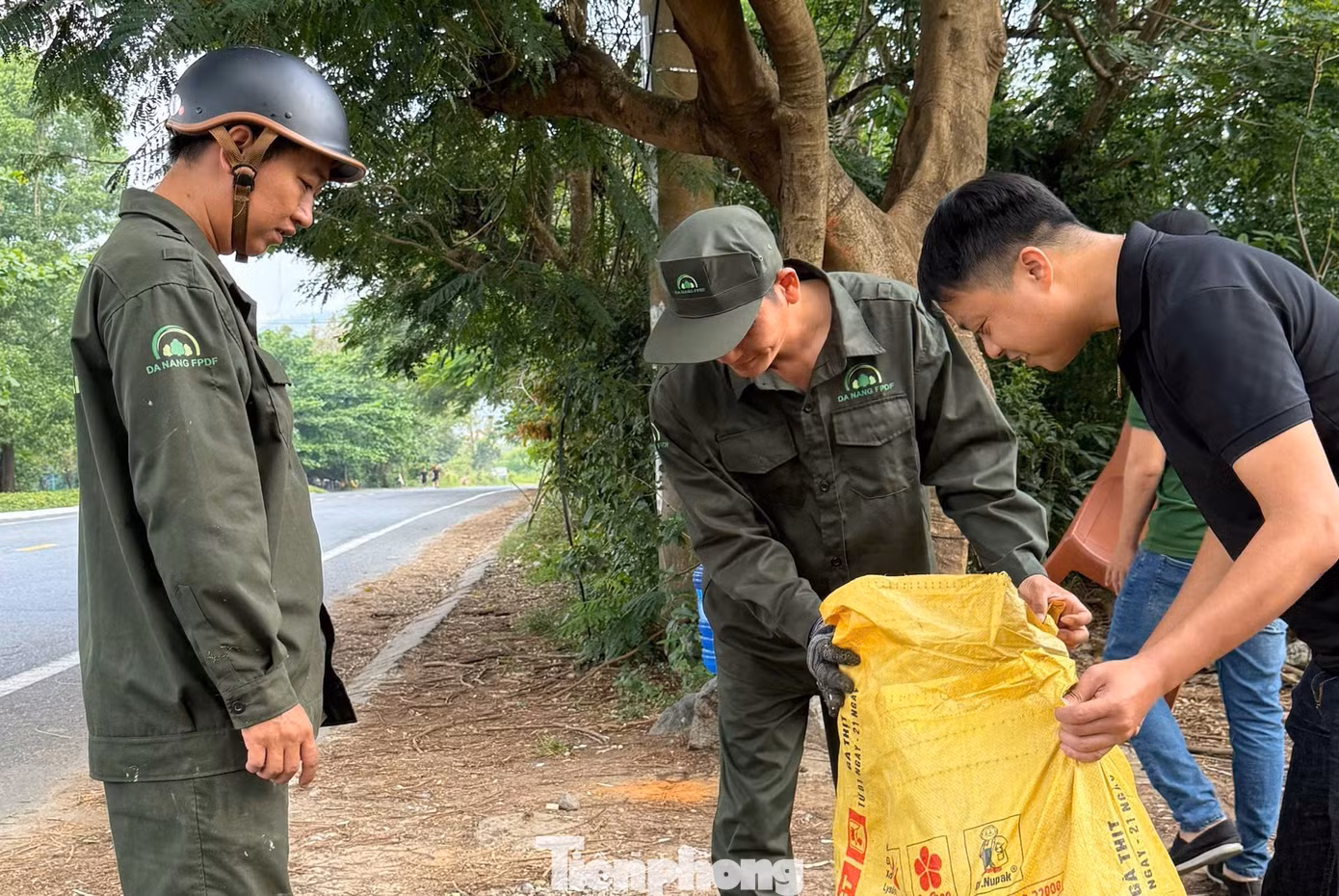 tp-da-nang-don-rac-son-tra-7.jpg