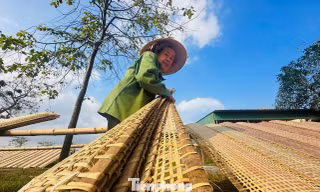 Làng bánh đa nem truyền thống tất bật chạy đua sản xuất hàng Tết