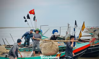 Ngư dân trúng đậm 'lộc biển' đầu năm 