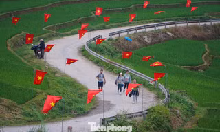 Đẹp mê mẩn con đường rợp cờ đỏ sao vàng ở xứ Thanh mừng ngày bầu cử 