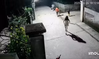 Cậu bé 4 tuổi nhanh trí giải cứu em trai rơi xuống mương nước sâu 