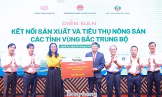 Kết nối chuỗi giá trị nông sản vùng Bắc Trung Bộ