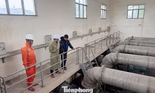 Nghệ An: Dùng máy nổ phát điện để tiêu, thoát lũ sau bão