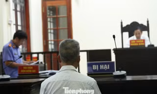 Đầu tư tiền ảo cùng 'gái xinh', người đàn ông 69 tuổi bị lừa hơn 19 tỷ đồng