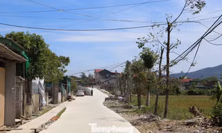 Đường dẫn lên cầu thi công uốn lượn gây tranh cãi?