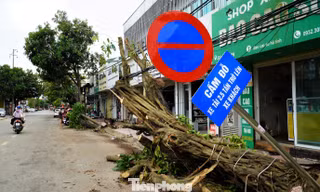Ngổn ngang sau bão số 5, Hà Tĩnh tiếp tục căng mình ứng phó thiên tai 