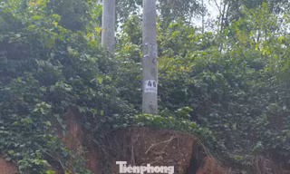 Cột điện đôi sụt móng, nghiêng ngả sau mưa bão