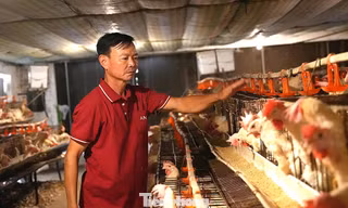 Chuyện về nông dân Việt Nam xuất sắc từng suýt phá sản, phải bán kỷ vật 