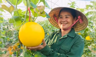 Nghệ An về đích sớm nhiều mục tiêu giảm nghèo bền vững