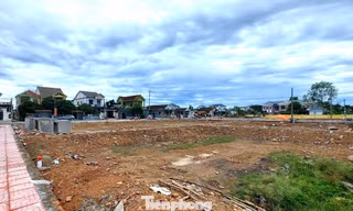 Đất đấu giá vùng quê cao gấp hơn 4 lần khởi điểm, nhiều lô rao bán chênh tiền tỷ