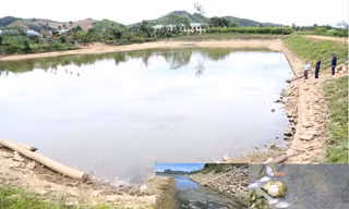 Lấy mẫu nước ở đập thủy lợi xác định nguyên nhân cá chết bất thường 