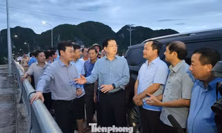 Phó Thủ tướng Chính phủ Mai Văn Chính: Nâng hạ tầng giao thông, xây khu dân cư tránh lũ