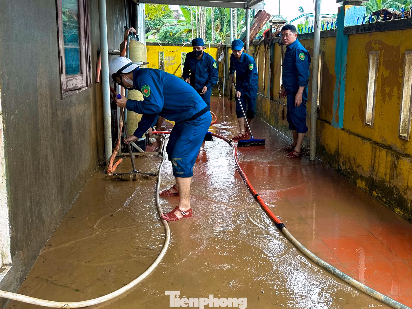 tp-truonghocdaian-7.jpg