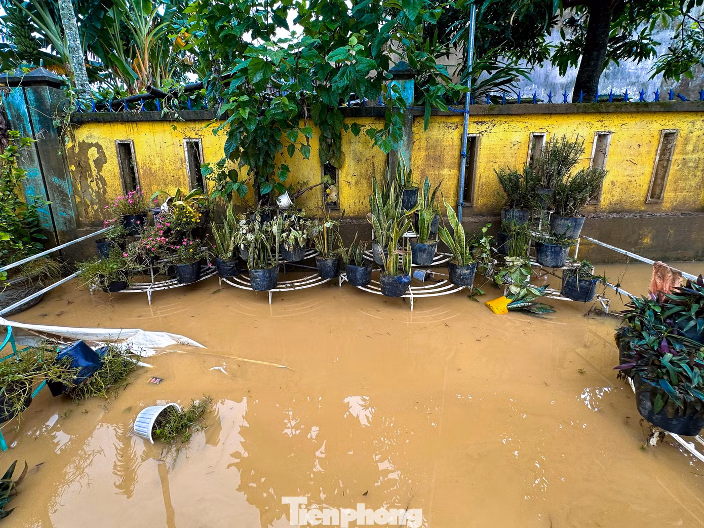 tp-truonghocdaian-5.jpg
