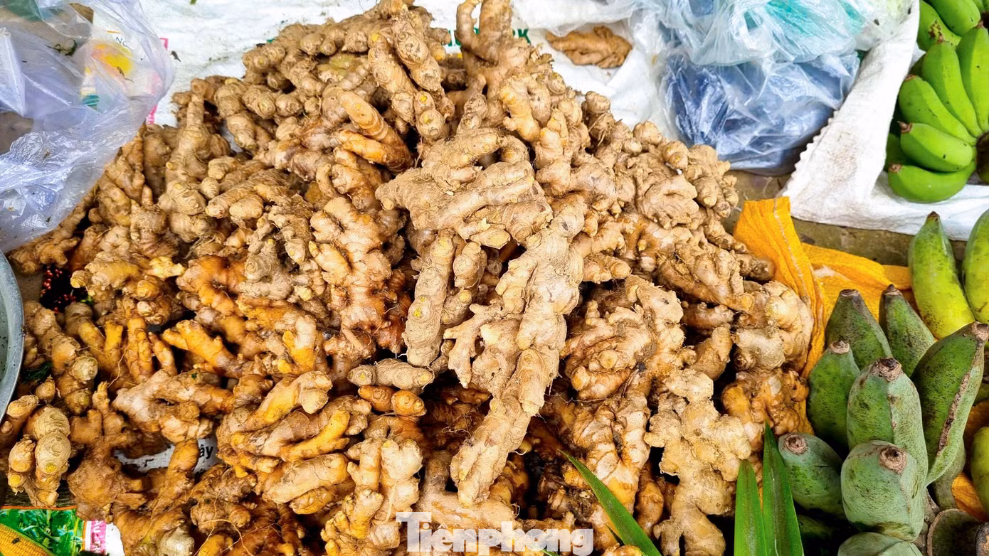 tp-cho5ngan-7.jpg