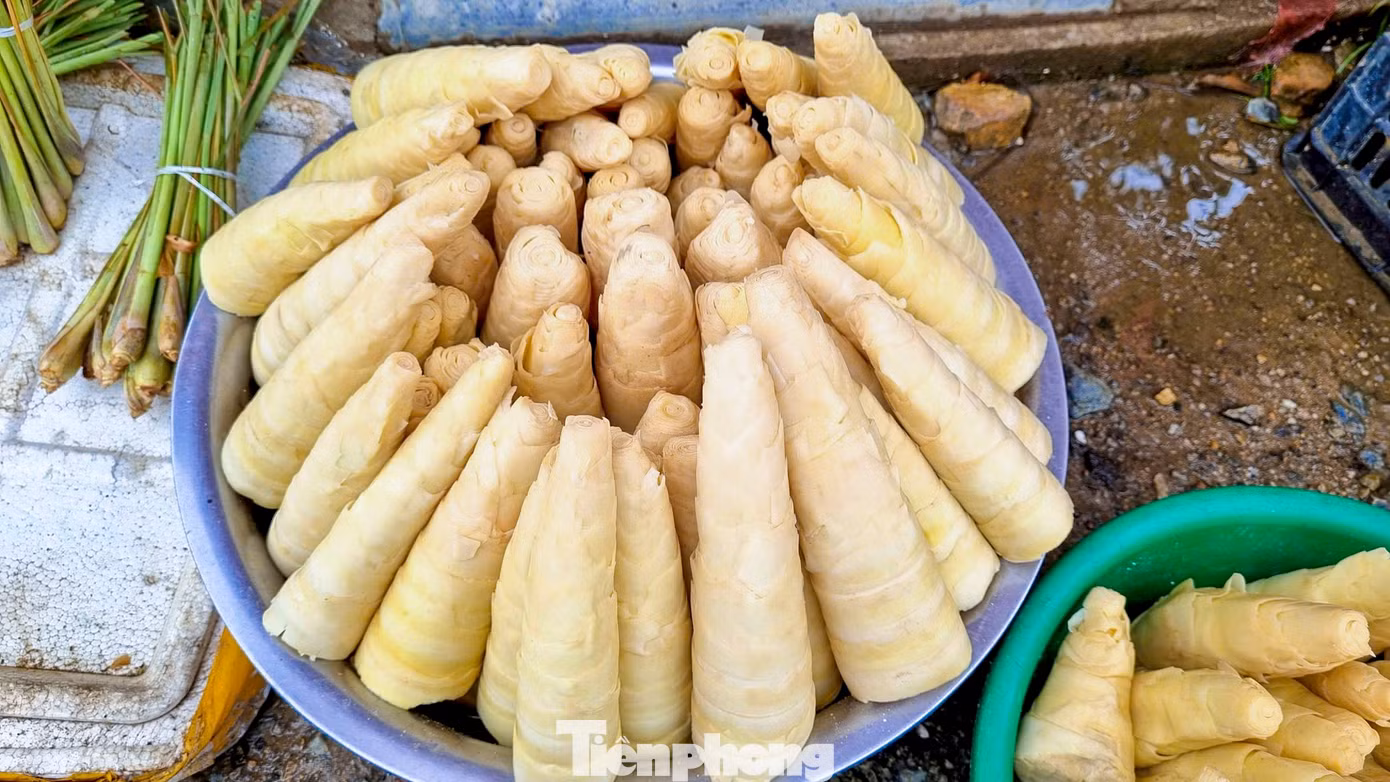 tp-cho5ngan-10.jpg