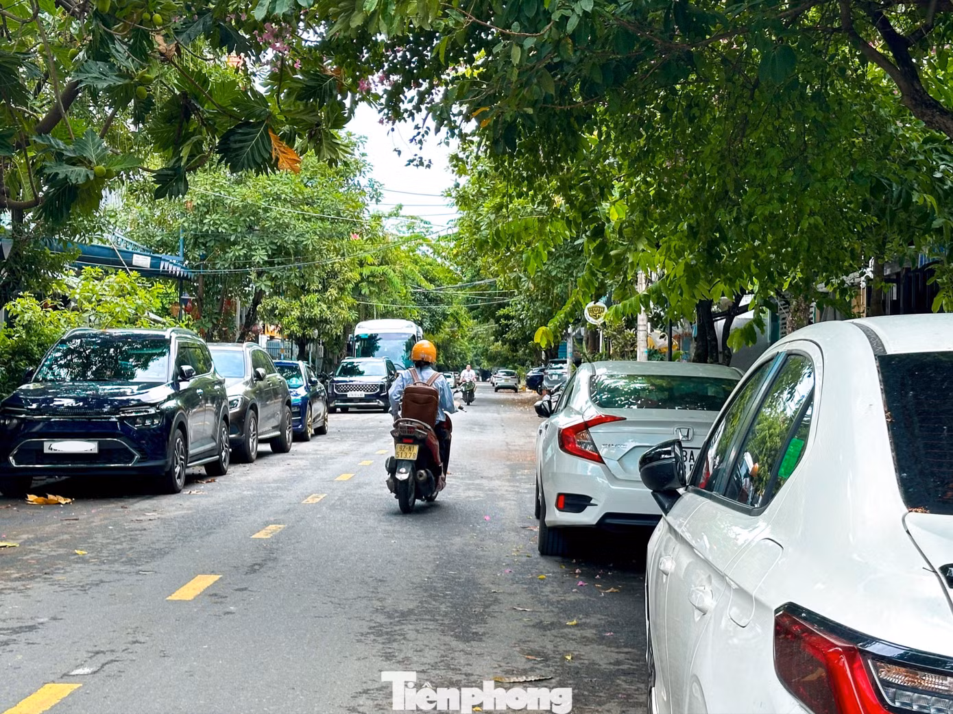 tp-chiemdunglongleduong-4-2988.jpg