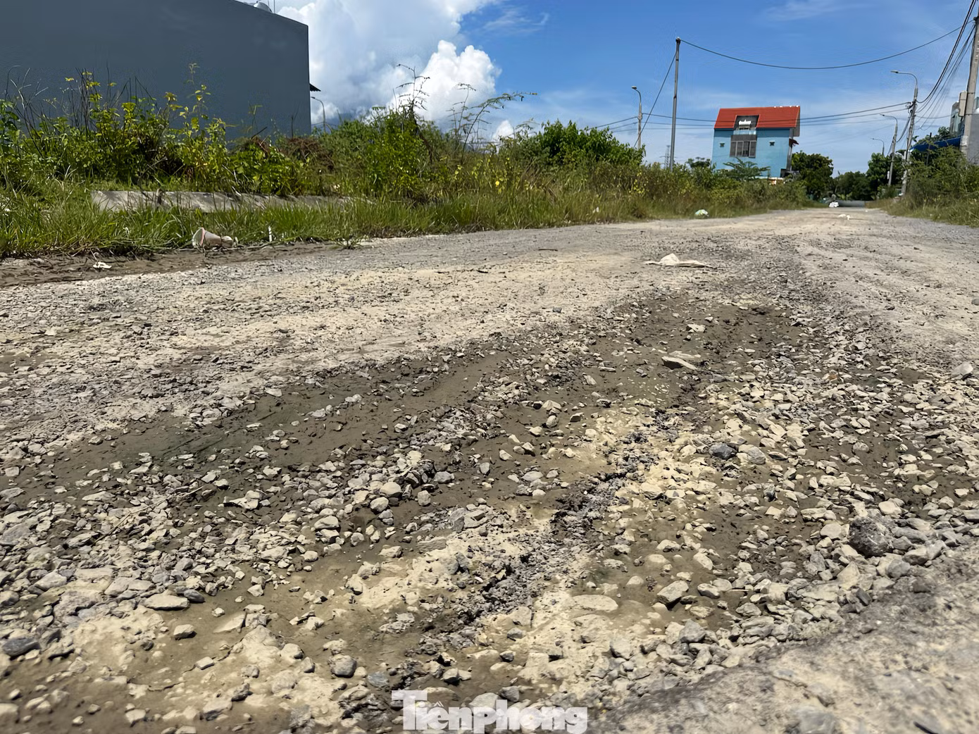 tp-duong10namimg-114328-0.png