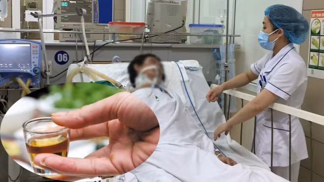 Vì sao tử vong do ngộ độc rượu và độc tố tự nhiên cao?