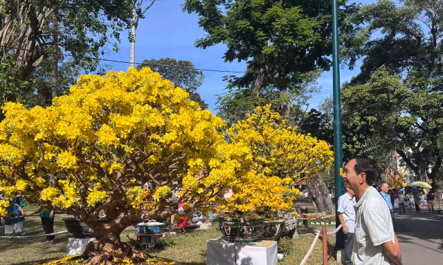 Công viên Tao Đàn nhộn nhịp Mùng 2 Tết
