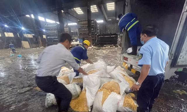 Heo, gà chết đua nhau 'chạy' ra thị trường, cùng lúc có 3 nhà chức trách mới xử lý được