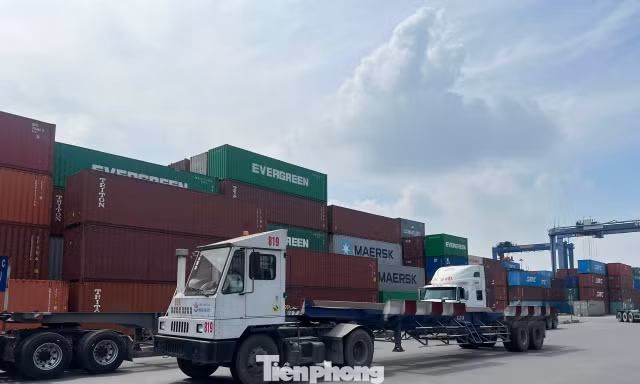 Chuyên gia nói thẳng 'điểm nghẽn' lớn nhất của Nghị định 46