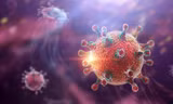 Cảnh báo virus Hanta: Phát hiện chuột trong nhà, người dân cần làm gì?