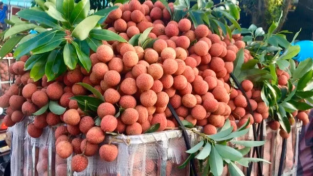 anh-duoc-tao-boi-phanthuytrangba.jpg