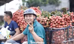 Cây vải thiều giúp nhiều nông dân ở Lục Ngạn làm giàu.