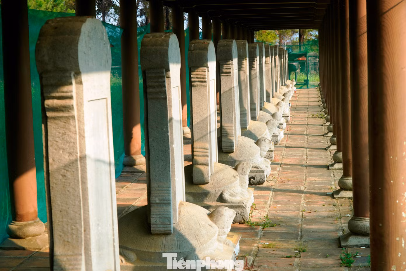 tp-c_5-di-tich-van-thanh-hue.jpg