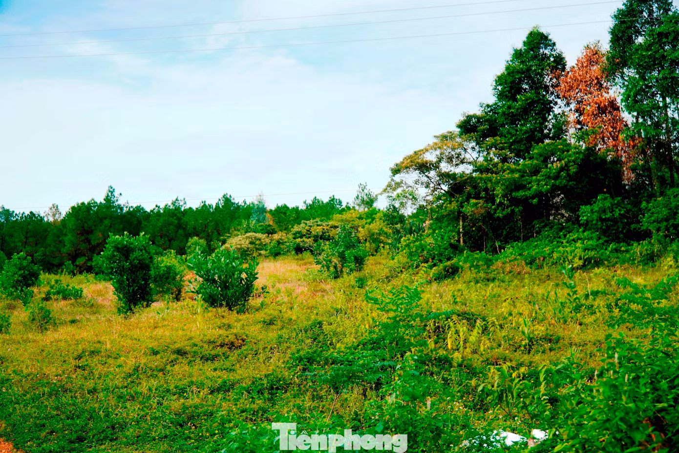 tp-3-bai-xe-lang-tu-duc.jpg