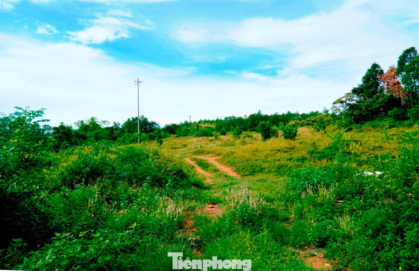 tp-1-bai-xe-lang-tu-duc.jpg