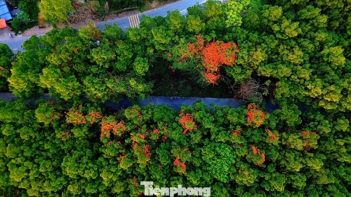 tp-c_dji-040147.jpg