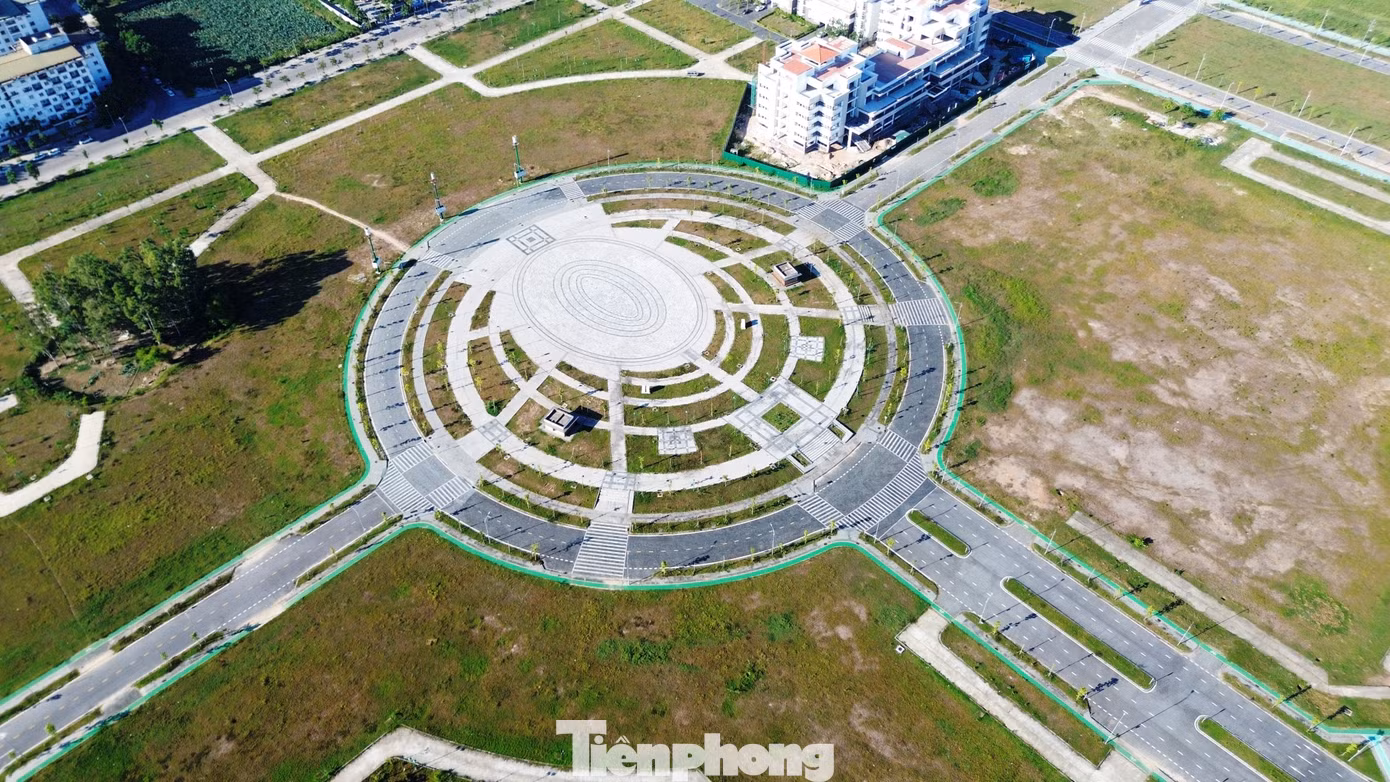 tp-c_8-cay-xanh-chet-hang-loat.jpg