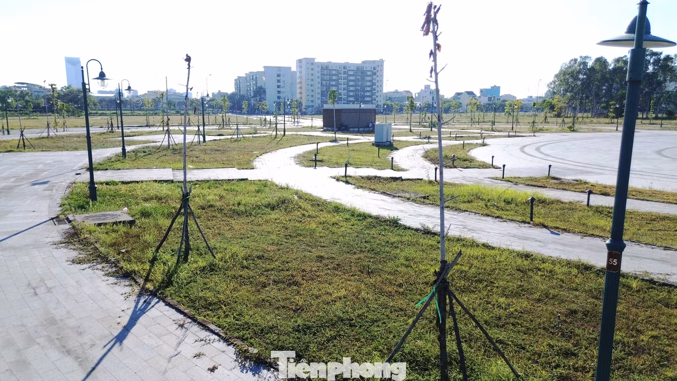 tp-c_4-cay-xanh-chet-hang-loatb.jpg