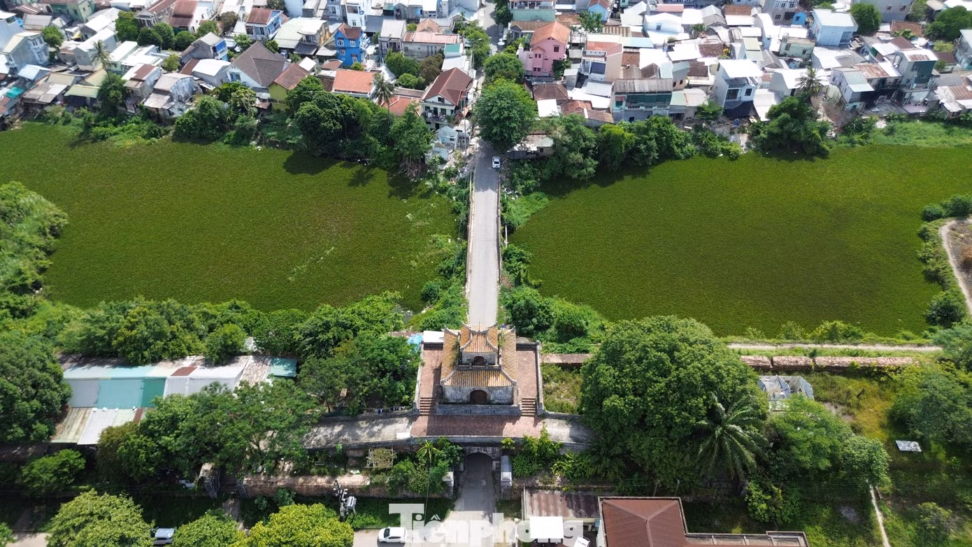 tp-c_7-mo-cong-ke-trai.jpg