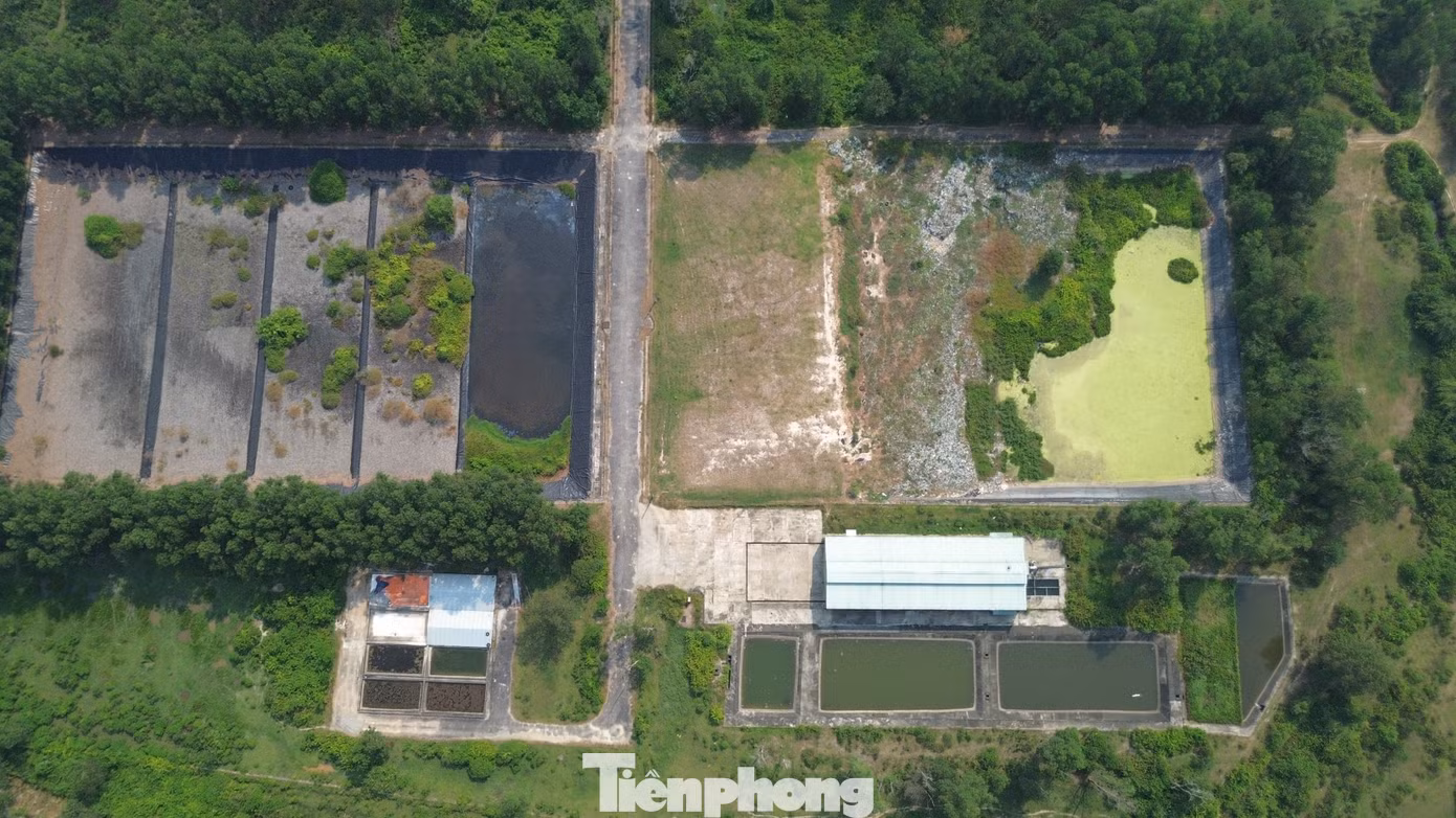 tp-c_dji-0092.jpg