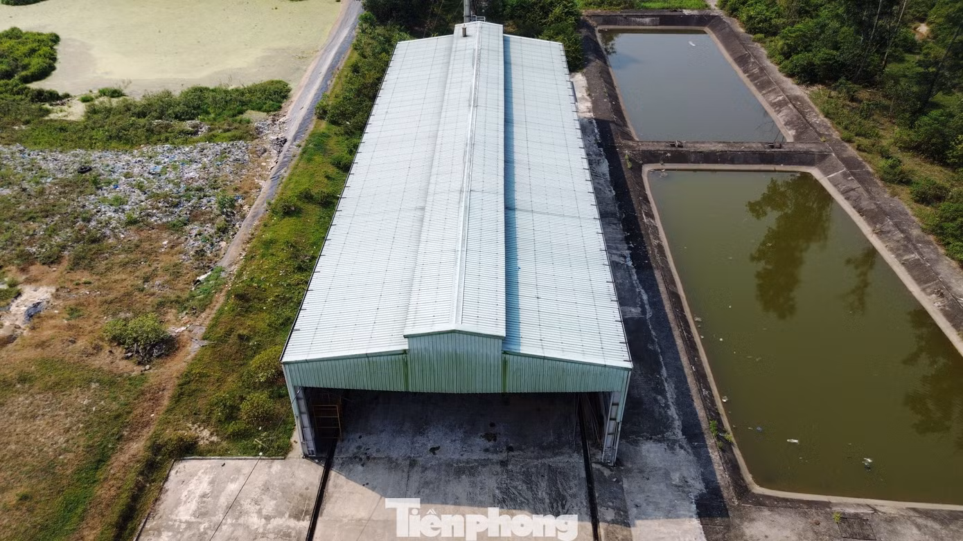 tp-c_dji-0081.jpg