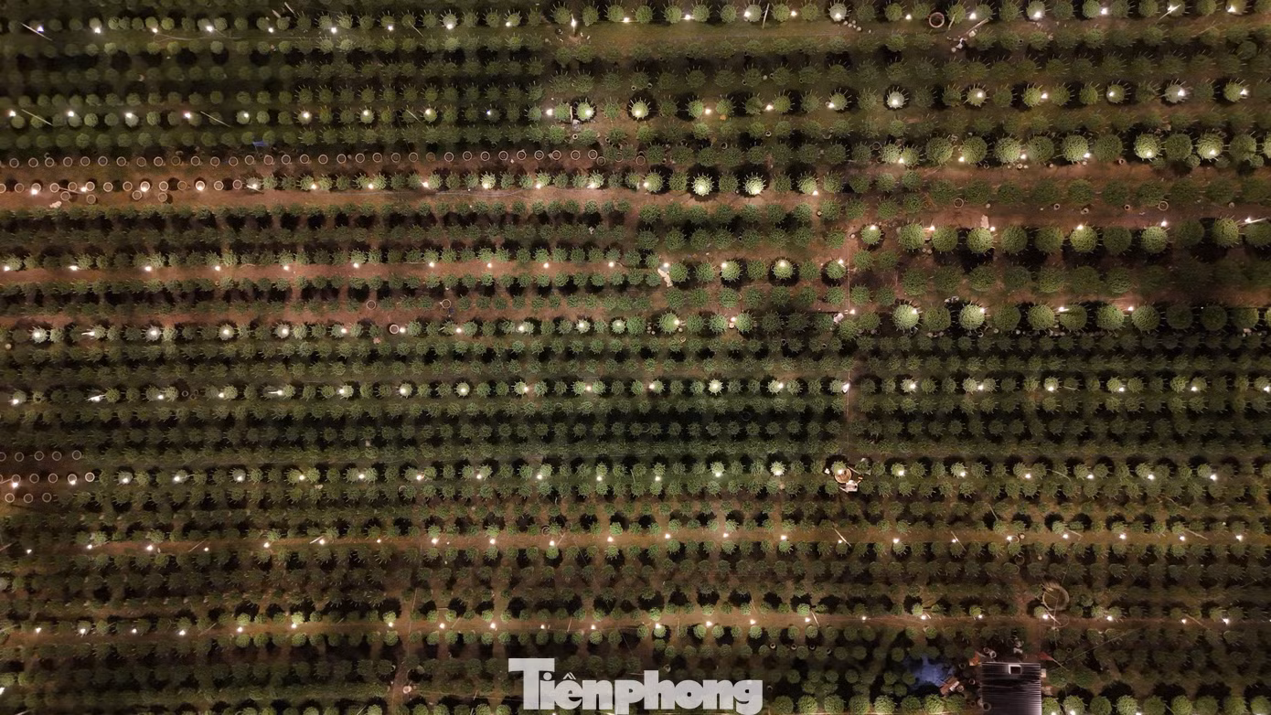 tp-3308.jpg