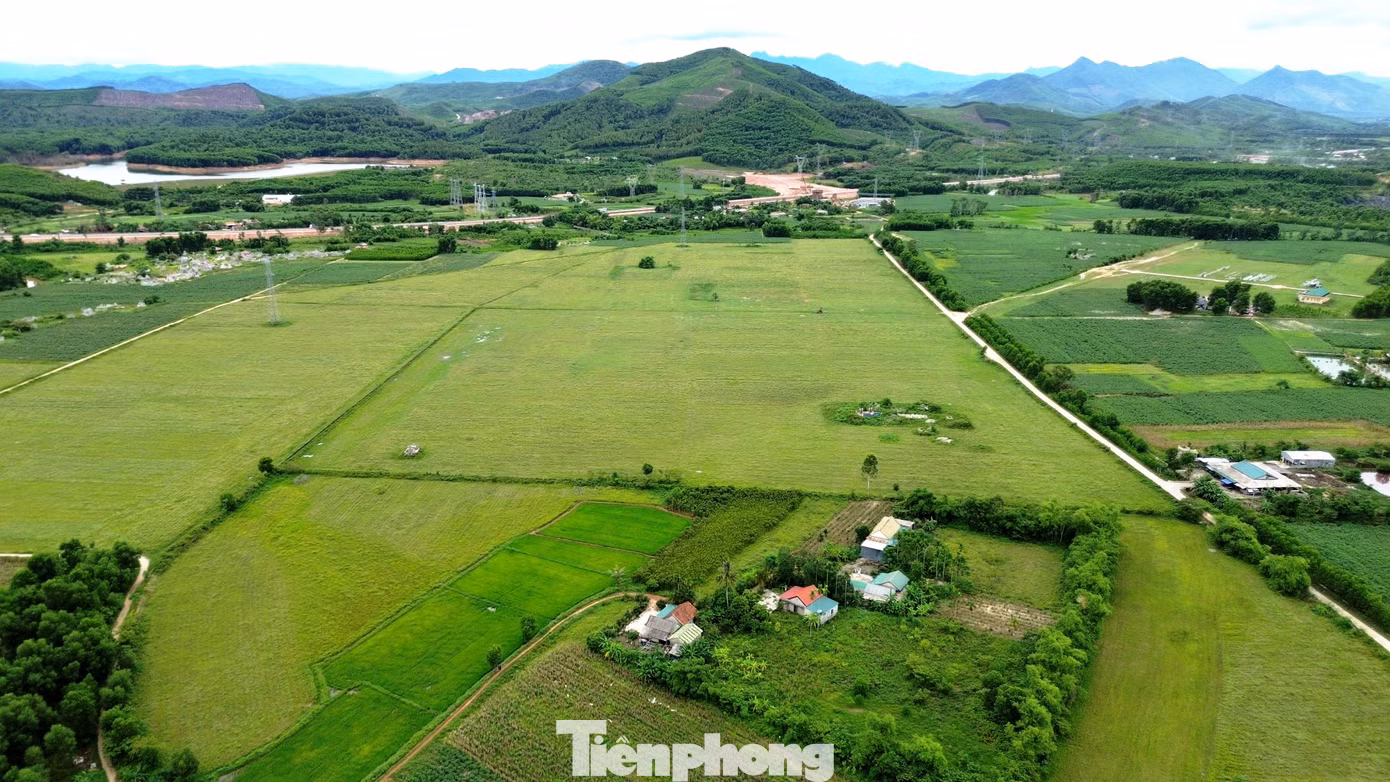 tp-c_4-cum-cn-huong-xuan.jpg