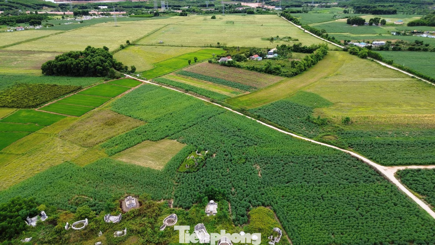 tp-c_3-cum-cn-huong-xuan.jpg