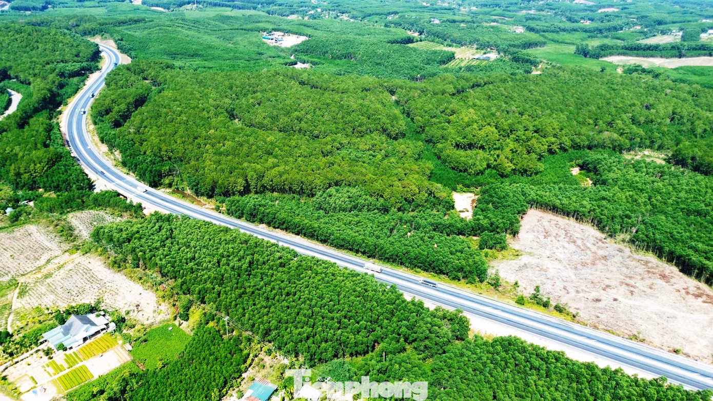 tp-c_9-1-cao-toc-la-son-hoan-thien-thi-cong-1.jpg