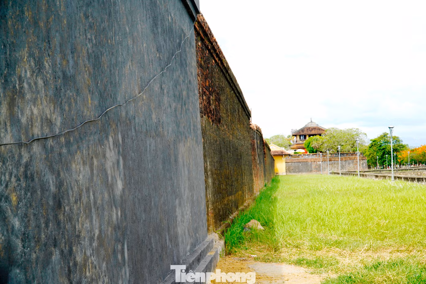 tp-c_8-khoi-phuc-tuong-hoang-thanh-sap.jpg