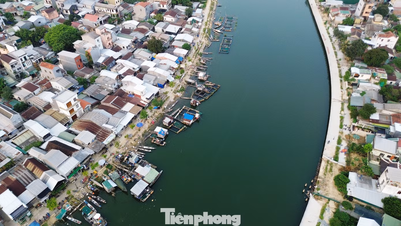 tp-3-van-do-ca-long-nhu-y.jpg