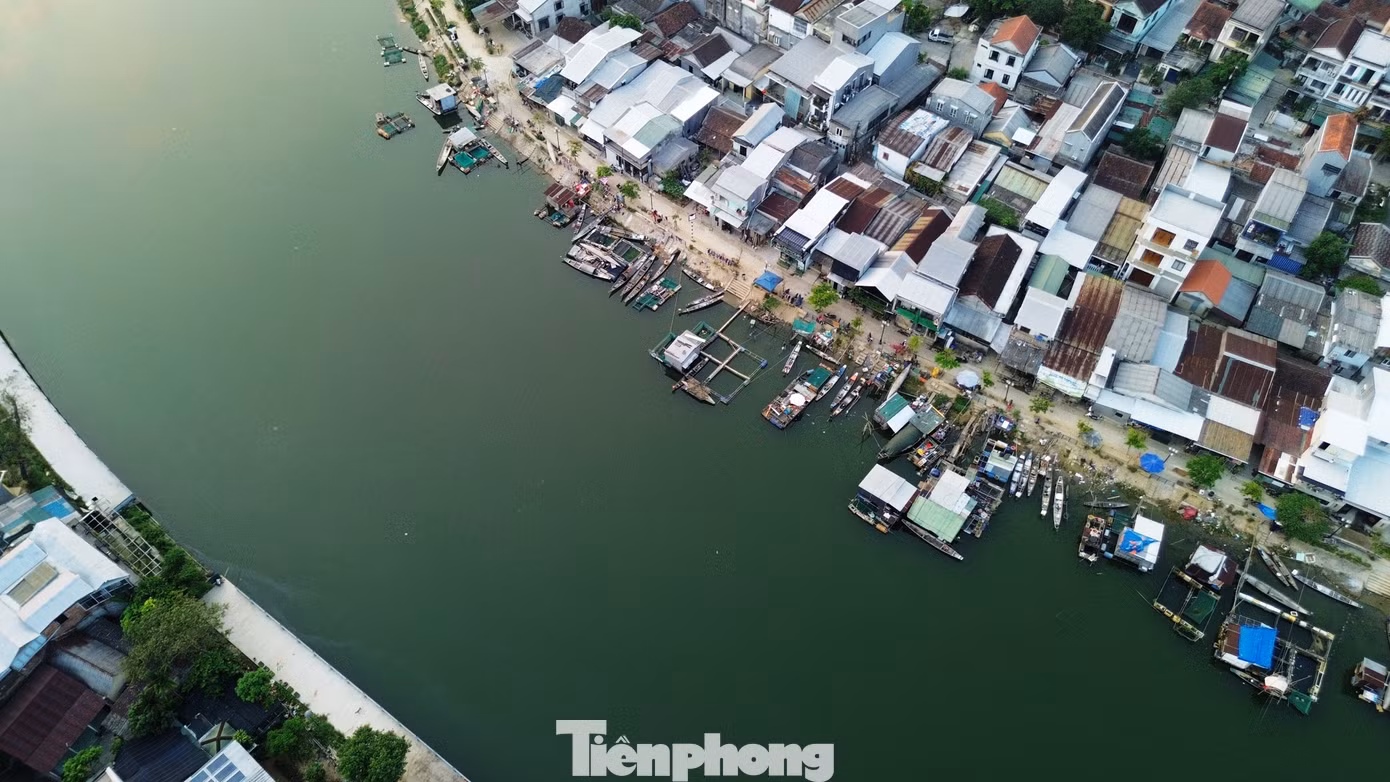 tp-8-van-do-ca-long-nhu-y.jpg