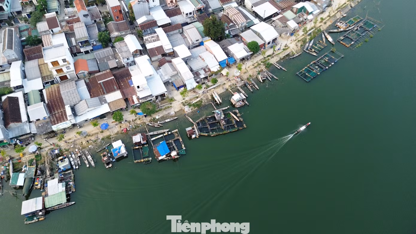 tp-9-1-van-do-ca-long-nhu-y.jpg