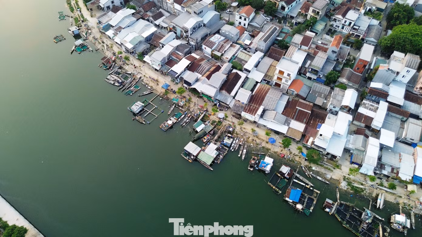 tp-5-van-do-ca-long-nhu-y.jpg
