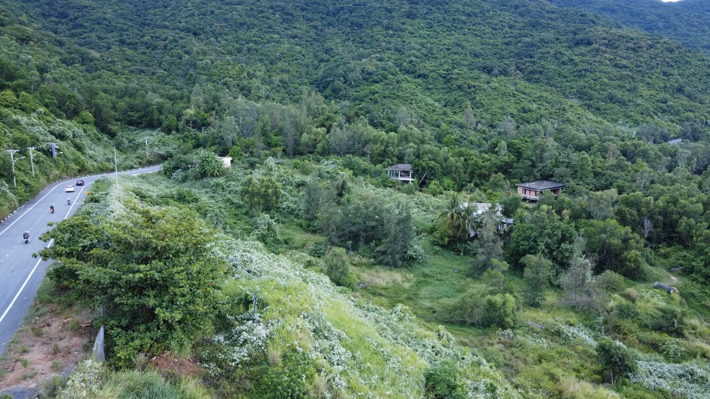 dji-0242-2039-6150.jpg
